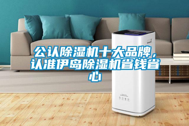 公認(rèn)除濕機(jī)十大品牌，認(rèn)準(zhǔn)伊島除濕機(jī)省錢省心