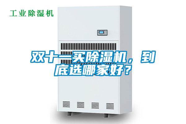雙十一買除濕機(jī)，到底選哪家好？