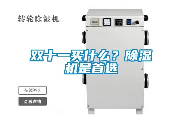 雙十一買什么？除濕機是首選