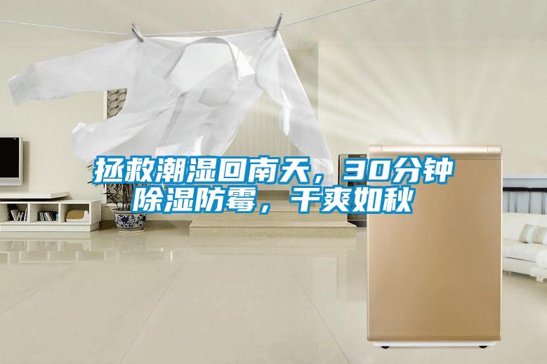 拯救潮濕回南天，30分鐘除濕防霉，干爽如秋