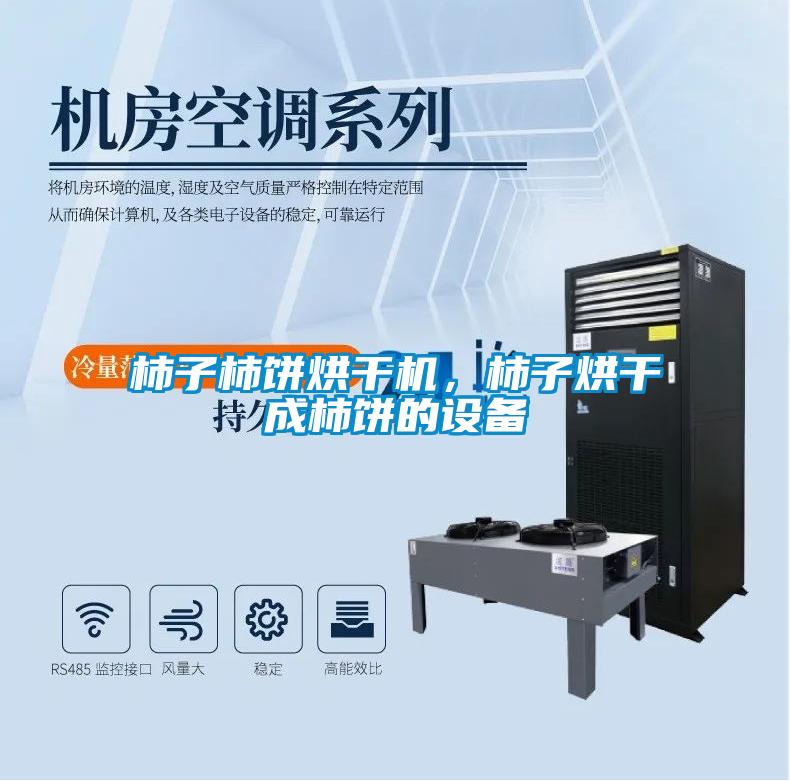 柿子柿餅烘干機(jī)，柿子烘干成柿餅的設(shè)備