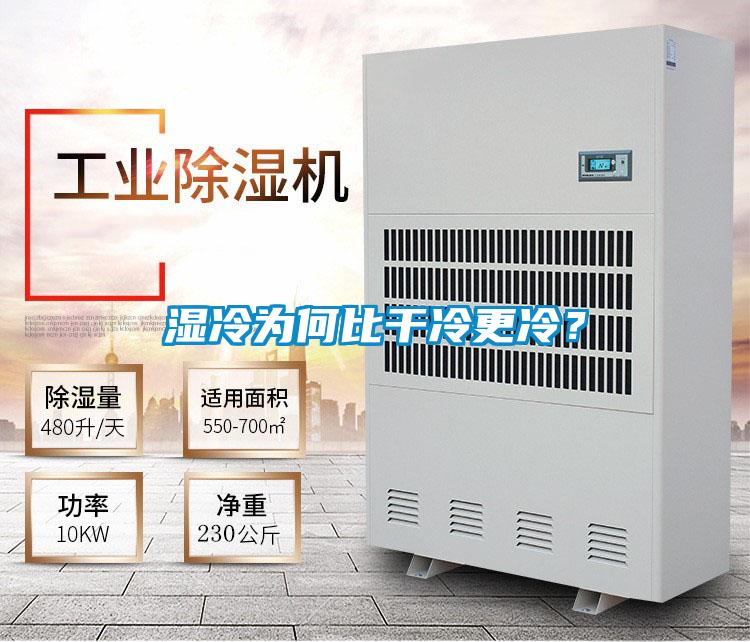 濕冷為何比干冷更冷？