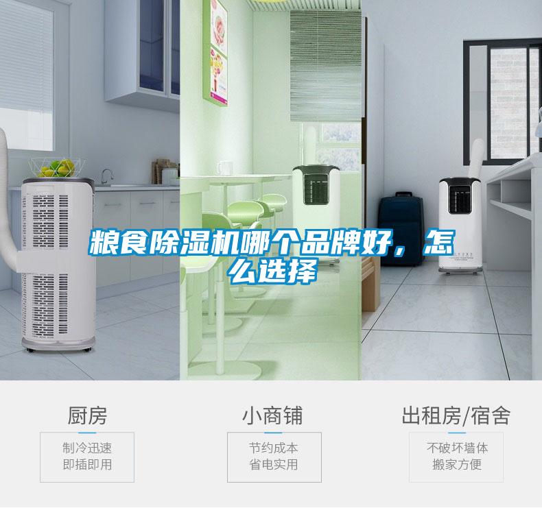 糧食除濕機(jī)哪個(gè)品牌好，怎么選擇