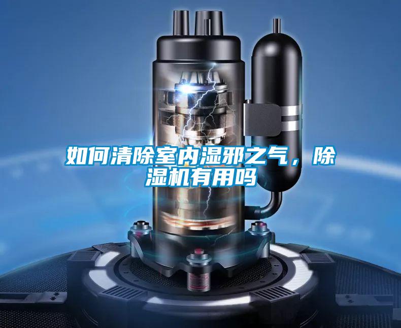 如何清除室內(nèi)濕邪之氣，除濕機有用嗎