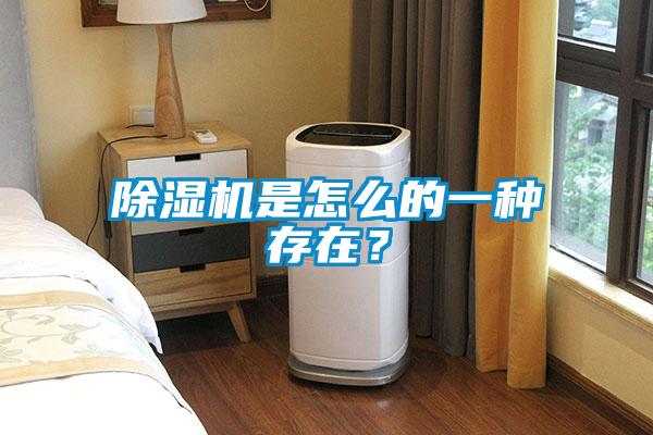 除濕機(jī)是怎么的一種存在？