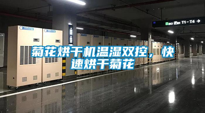 菊花烘干機(jī)溫濕雙控，快速烘干菊花