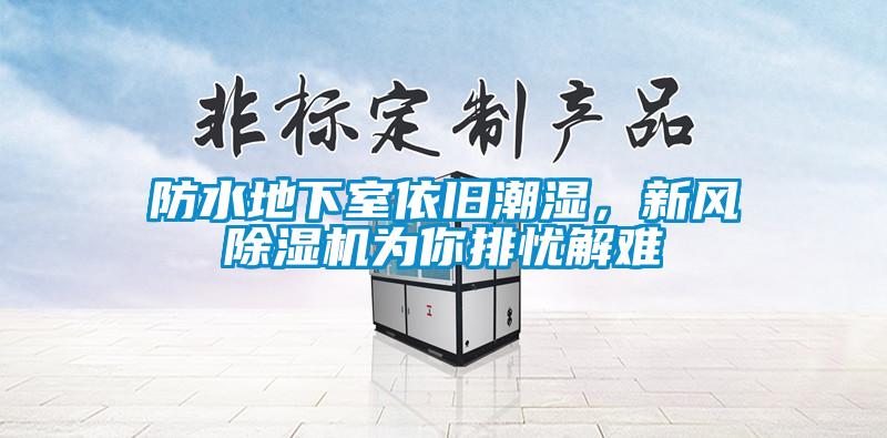 防水地下室依舊潮濕，新風(fēng)除濕機(jī)為你排憂解難