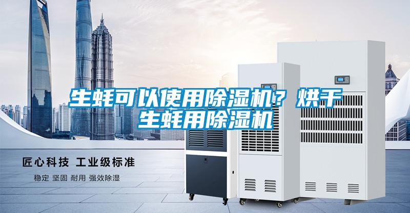 生蠔可以使用除濕機？烘干生蠔用除濕機