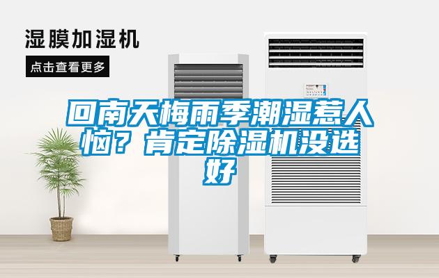 回南天梅雨季潮濕惹人惱？肯定除濕機(jī)沒選好