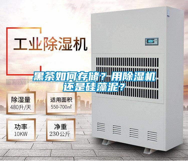 黑茶如何存儲(chǔ)？用除濕機(jī)還是硅藻泥？