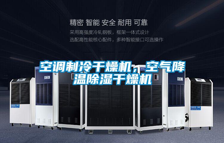 空調(diào)制冷干燥機，空氣降溫除濕干燥機