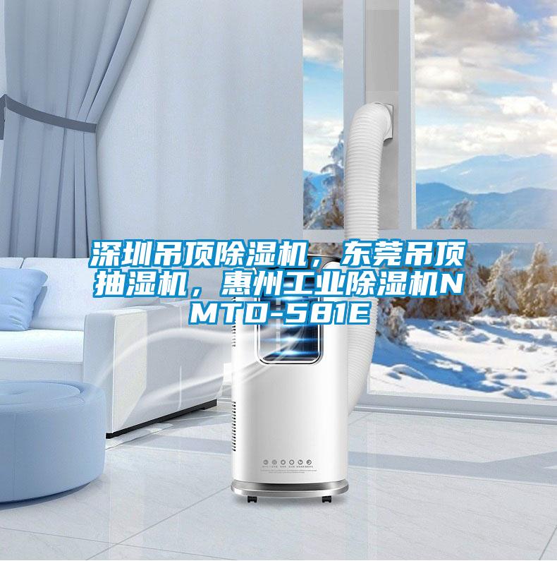 深圳吊頂除濕機(jī)，東莞吊頂抽濕機(jī)，惠州工業(yè)除濕機(jī)NMTD-581E
