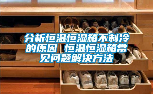 分析恒溫恒濕箱不制冷的原因 恒溫恒濕箱常見(jiàn)問(wèn)題解決方法