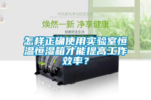 怎樣正確使用實(shí)驗(yàn)室恒溫恒濕箱才能提高工作效率？