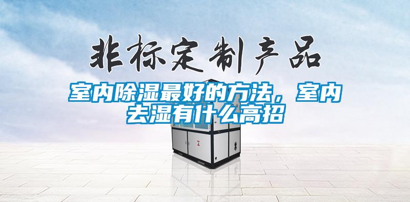 室內(nèi)除濕最好的方法，室內(nèi)去濕有什么高招