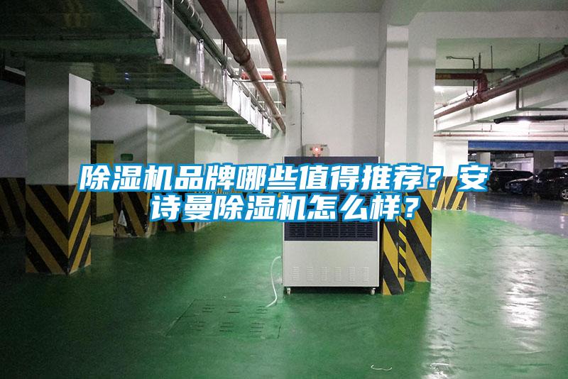 除濕機(jī)品牌哪些值得推薦？安詩曼除濕機(jī)怎么樣？