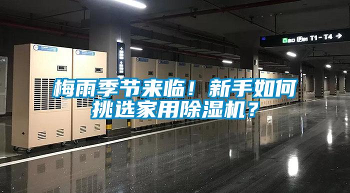 梅雨季節(jié)來臨！新手如何挑選家用除濕機？