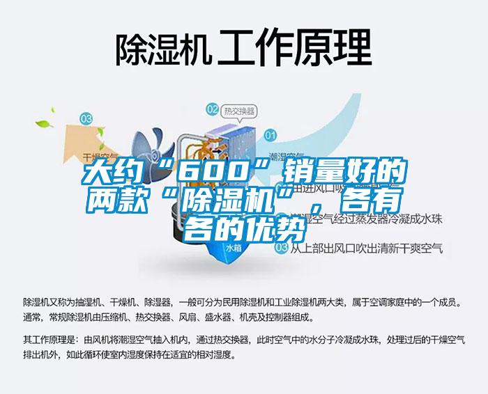 大約“600”銷量好的兩款“除濕機(jī)”，各有各的優(yōu)勢(shì)