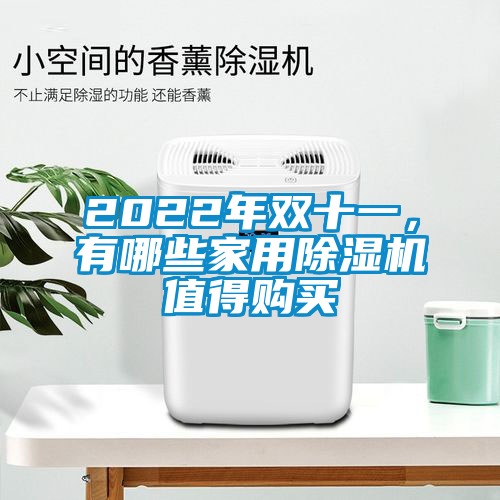 2022年雙十一，有哪些家用除濕機(jī)值得購買