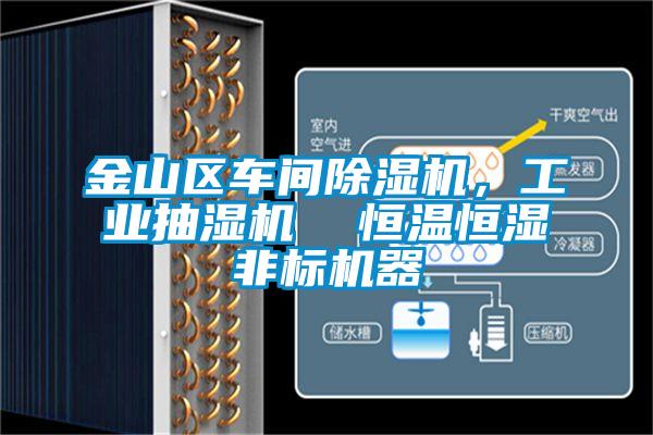 金山區(qū)車間除濕機，工業(yè)抽濕機  恒溫恒濕非標(biāo)機器