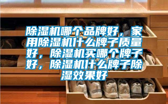 除濕機(jī)哪個(gè)品牌好，家用除濕機(jī)什么牌子質(zhì)量好，除濕機(jī)買哪個(gè)牌子好，除濕機(jī)什么牌子除濕效果好