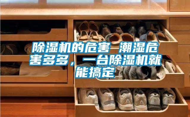 除濕機(jī)的危害 潮濕危害多多，一臺(tái)除濕機(jī)就能搞定