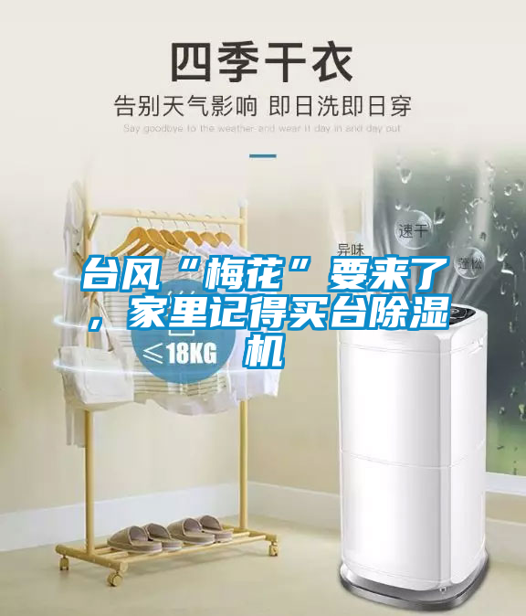 臺風(fēng)“梅花”要來了，家里記得買臺除濕機(jī)