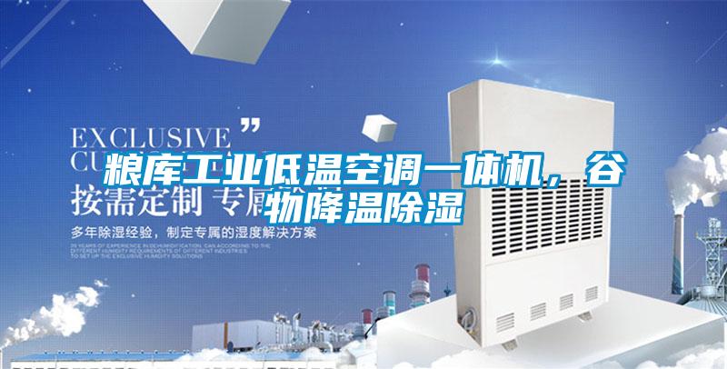 糧庫(kù)工業(yè)低溫空調(diào)一體機(jī)，谷物降溫除濕