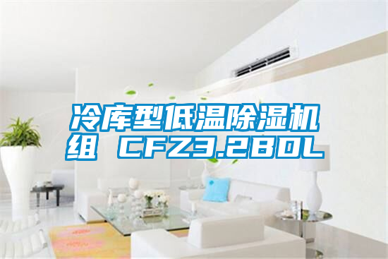 冷庫型低溫除濕機(jī)組 CFZ3.2BDL