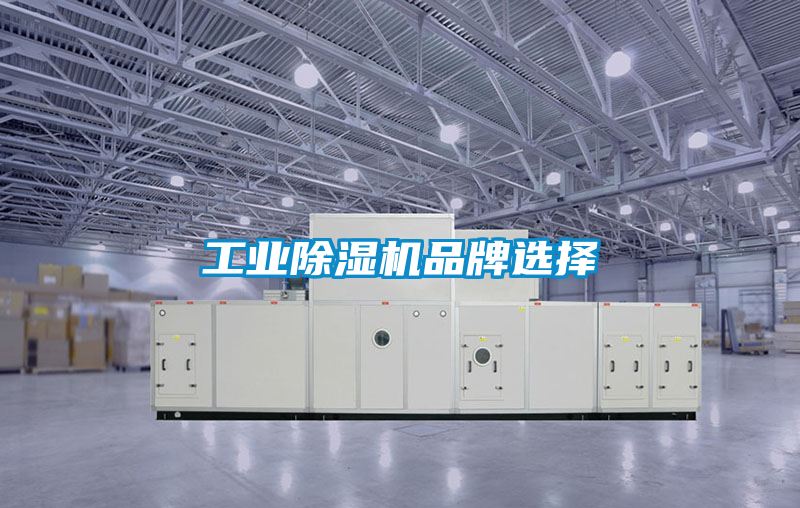 工業(yè)除濕機品牌選擇
