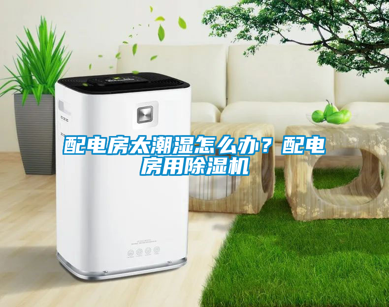 配電房太潮濕怎么辦？配電房用除濕機(jī)