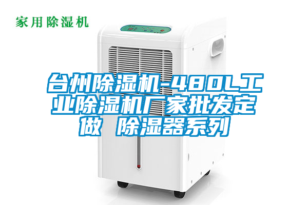 臺州除濕機-480L工業(yè)除濕機廠家批發(fā)定做 除濕器系列