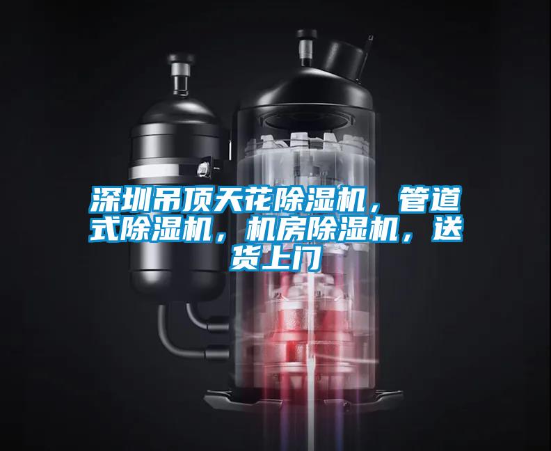 深圳吊頂天花除濕機(jī)，管道式除濕機(jī)，機(jī)房除濕機(jī)，送貨上門