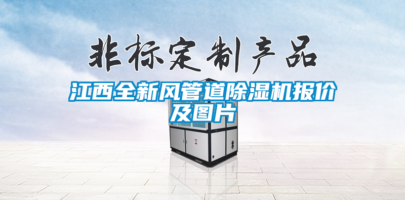 江西全新風(fēng)管道除濕機報價及圖片