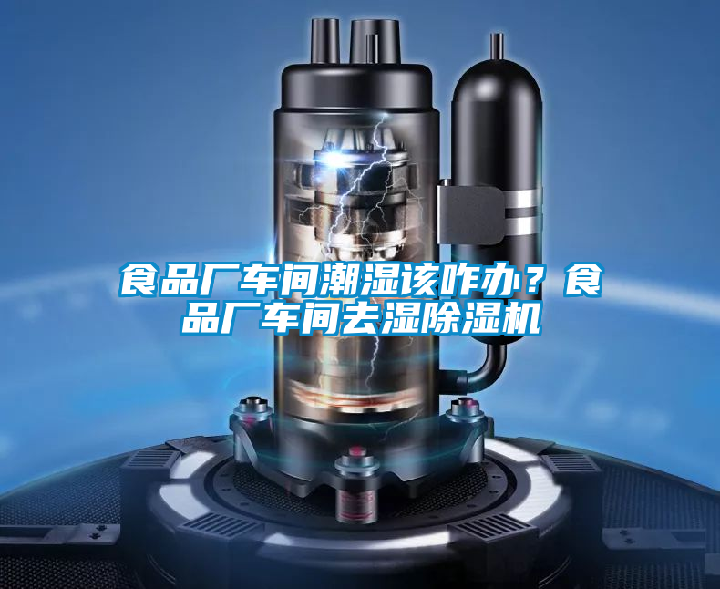 食品廠車間潮濕該咋辦？食品廠車間去濕除濕機