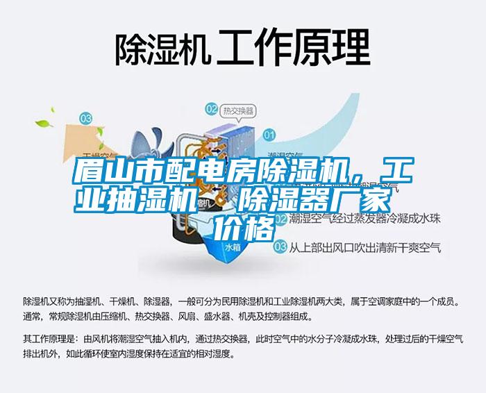 眉山市配電房除濕機(jī)，工業(yè)抽濕機(jī)  除濕器廠家 價(jià)格