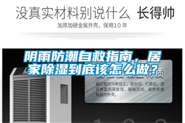 陰雨防潮自救指南，居家除濕到底該怎么做？