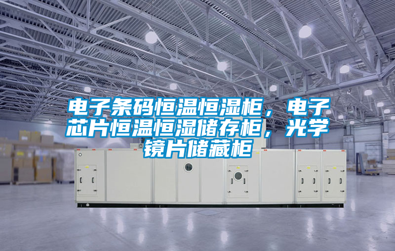 電子條碼恒溫恒濕柜，電子芯片恒溫恒濕儲存柜，光學(xué)鏡片儲藏柜