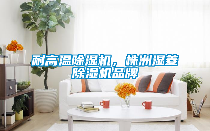 耐高溫除濕機(jī)，株洲濕菱除濕機(jī)品牌