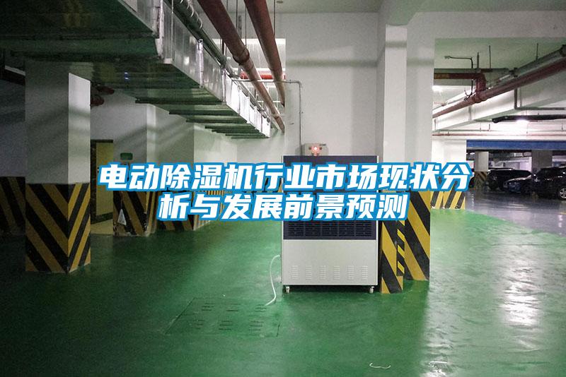 電動除濕機行業(yè)市場現(xiàn)狀分析與發(fā)展前景預(yù)測