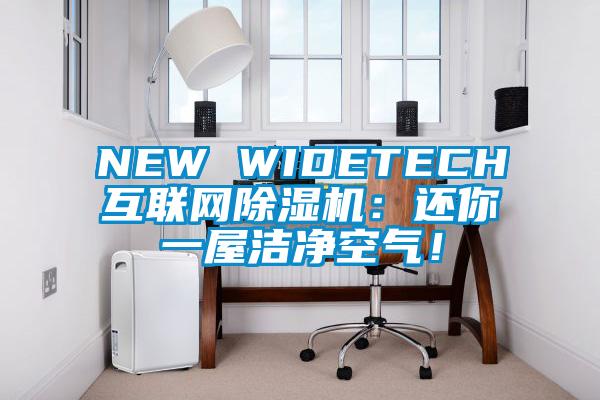 NEW WIDETECH互聯(lián)網(wǎng)除濕機：還你一屋潔凈空氣！