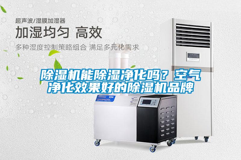 除濕機(jī)能除濕凈化嗎？空氣凈化效果好的除濕機(jī)品牌