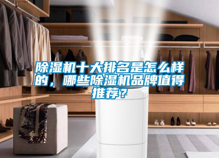 除濕機十大排名是怎么樣的，哪些除濕機品牌值得推薦？