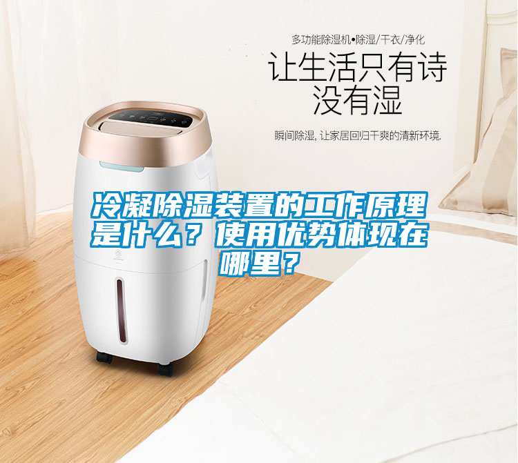 冷凝除濕裝置的工作原理是什么？使用優(yōu)勢(shì)體現(xiàn)在哪里？