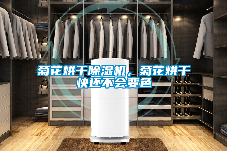 菊花烘干除濕機(jī)，菊花烘干快還不會(huì)變色