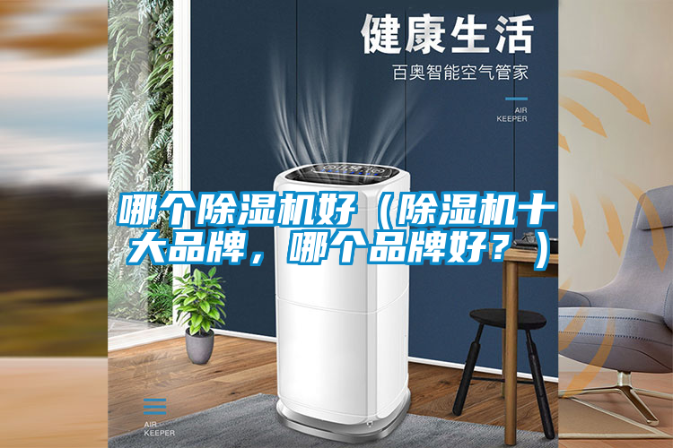 哪個(gè)除濕機(jī)好（除濕機(jī)十大品牌，哪個(gè)品牌好？）