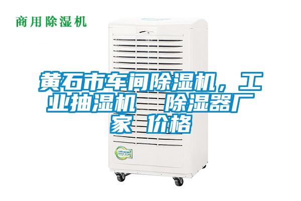 黃石市車間除濕機，工業(yè)抽濕機  除濕器廠家 價格