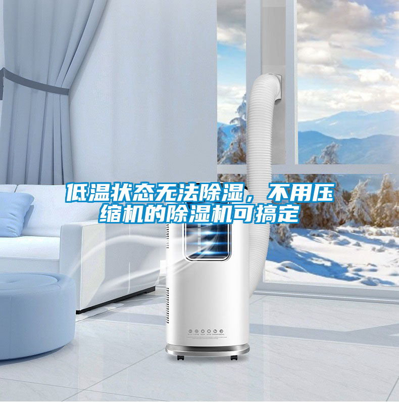 低溫狀態(tài)無(wú)法除濕，不用壓縮機(jī)的除濕機(jī)可搞定