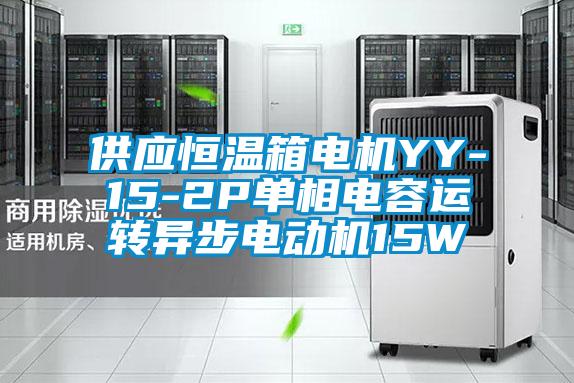 供應(yīng)恒溫箱電機(jī)YY-15-2P單相電容運(yùn)轉(zhuǎn)異步電動機(jī)15W