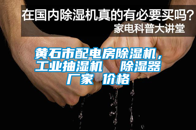 黃石市配電房除濕機(jī)，工業(yè)抽濕機(jī)  除濕器廠家 價(jià)格